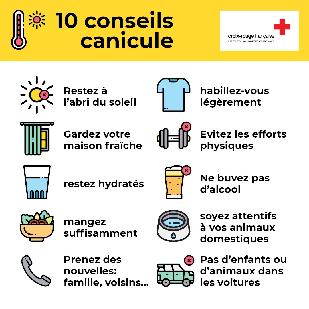 Conseil canicule 2022