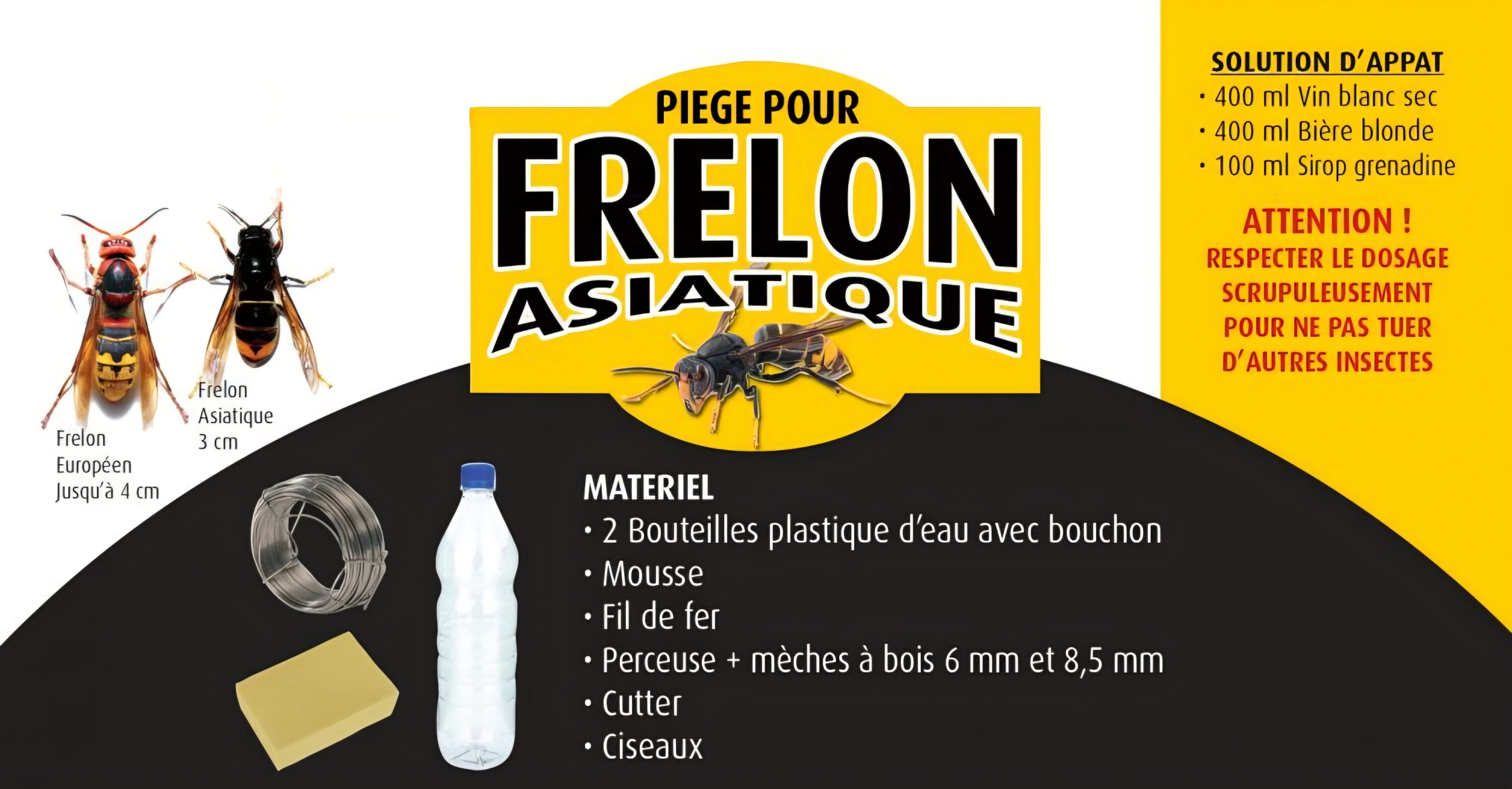 Capture frelons asiatiques