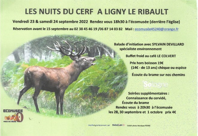 Nuits du cerf sept 2022