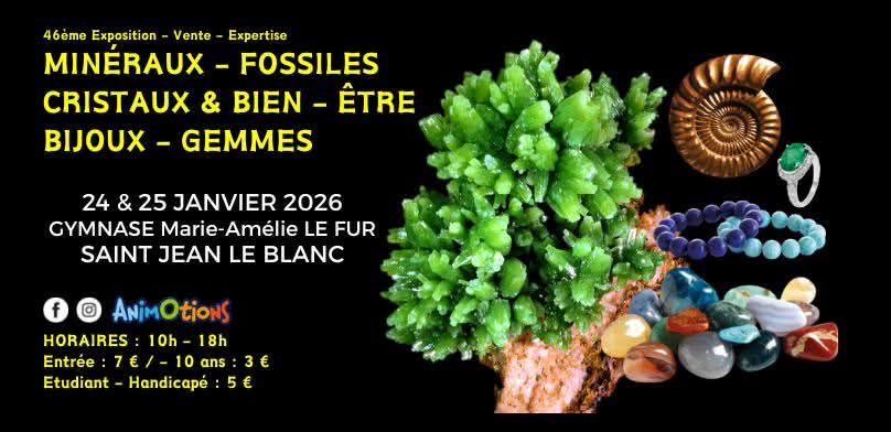 Salon des mineraux Orleans 24 01 26