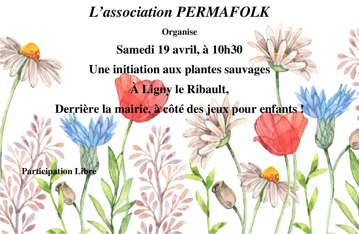 Perma Folk balade BIS 19 04 25