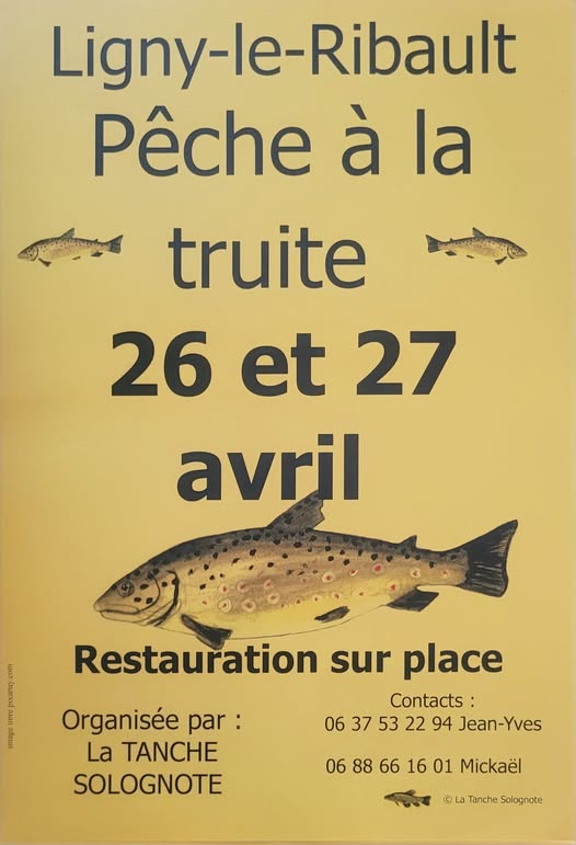 Tanche Solognote 26 04 25
