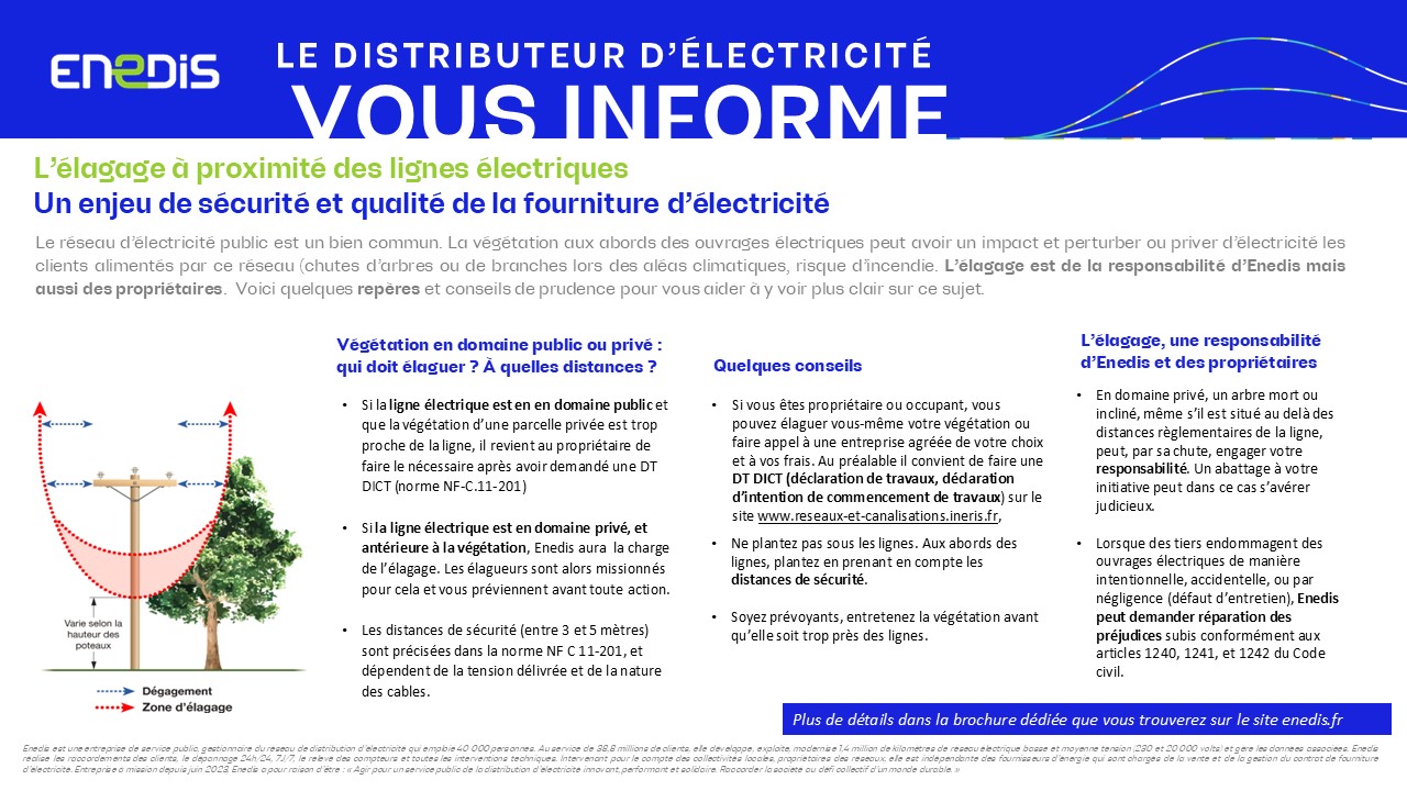 Information Elagage 2025