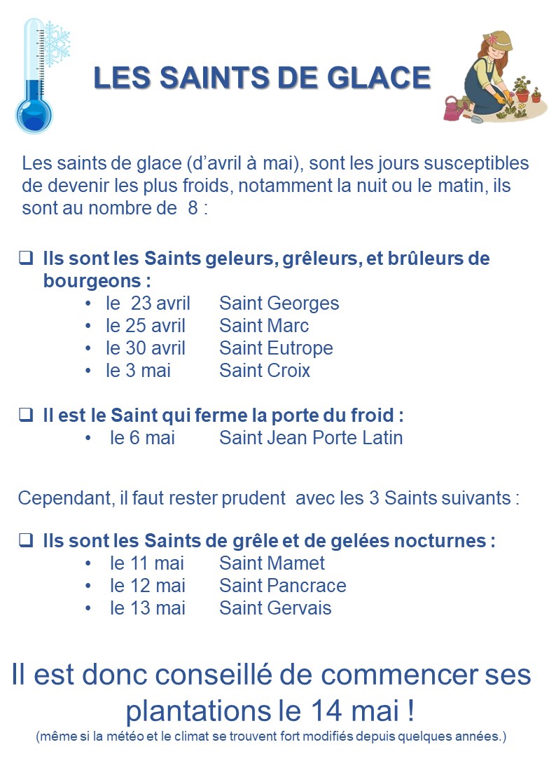 Les saints de glace