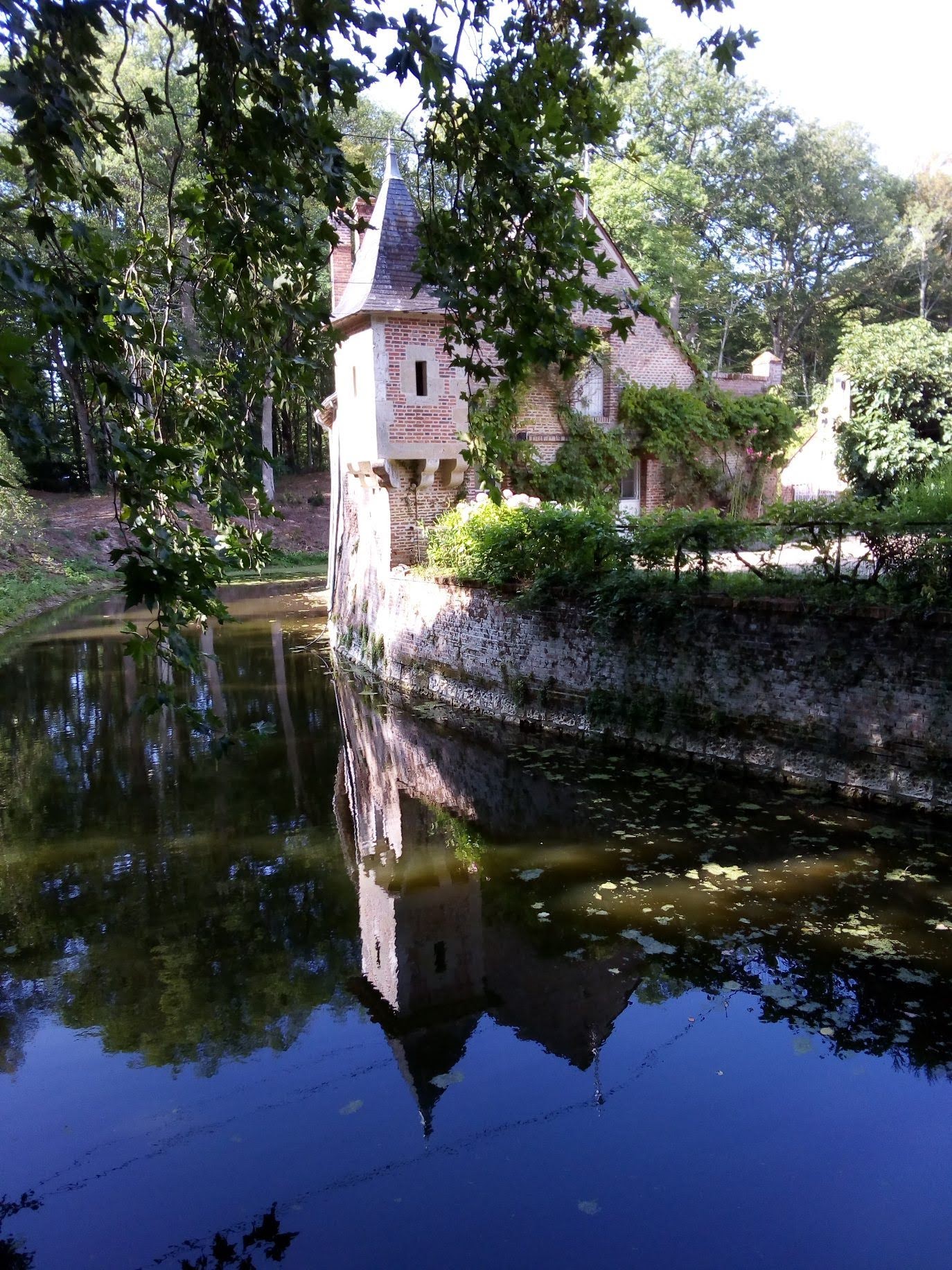 Douves de la Cour