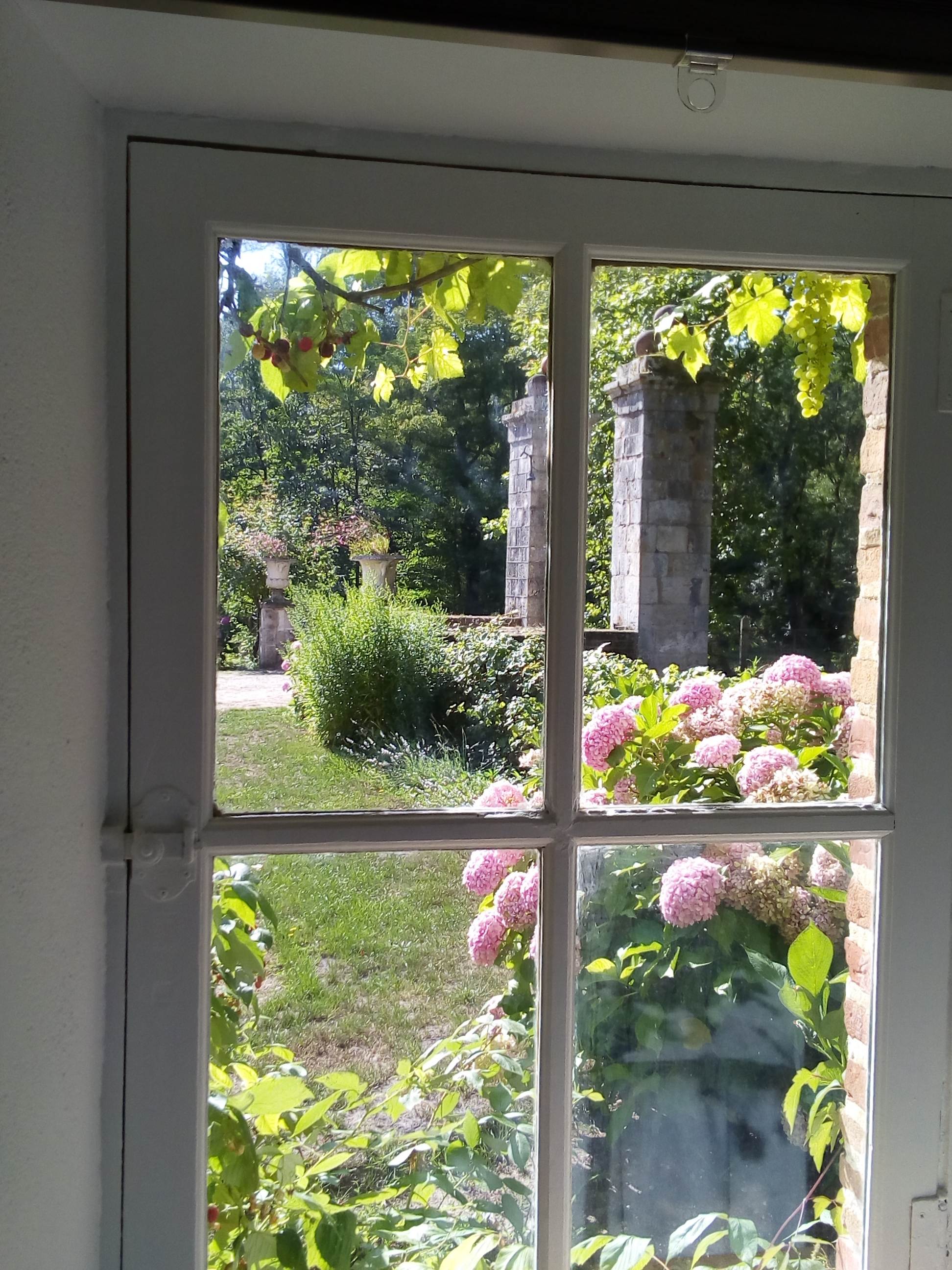 Vue jardin