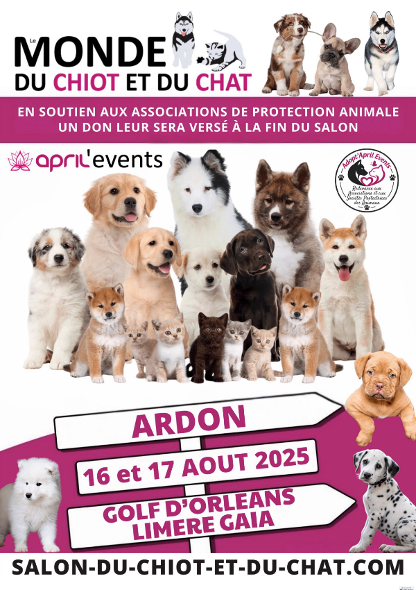 Salon des chiots et chats Ardon 16 08 25