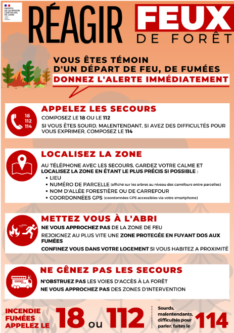 Feu de forets Affiche ragir face au feu ou un degagement de fumee