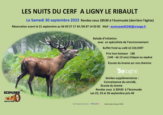 Nuit du cerf 2023