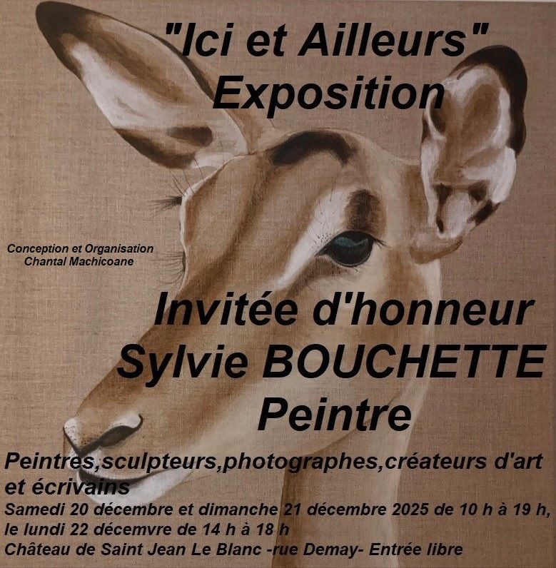 Expo St Jean le Blanc 19 12 25