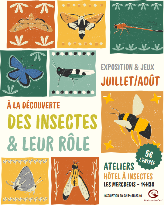 Expo ete 2025 Maison du cerf Villeny 07 2025