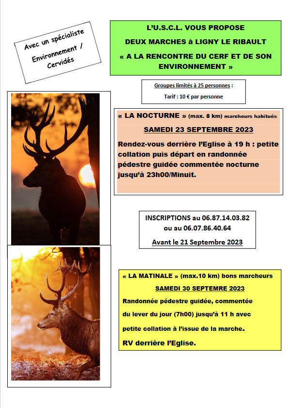 Marche du cerf 09 2023